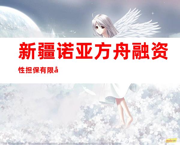 新疆诺亚方舟融资性担保有限公司