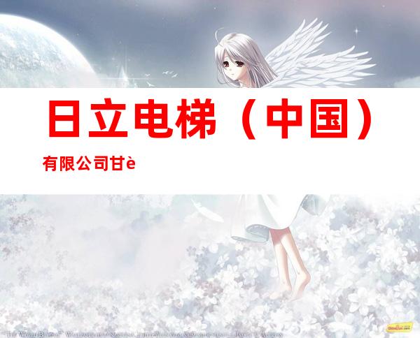 日立电梯（中国）有限公司甘肃分公司