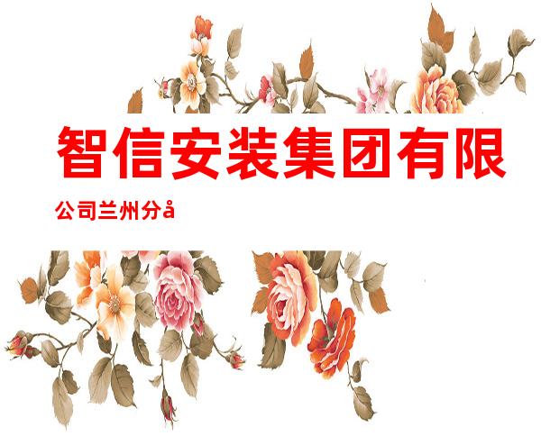 智信安装集团有限公司兰州分公司