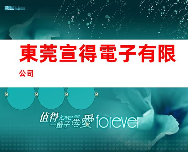 東莞宣得電子有限公司