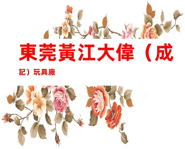 東莞黃江大偉（成記）玩具廠