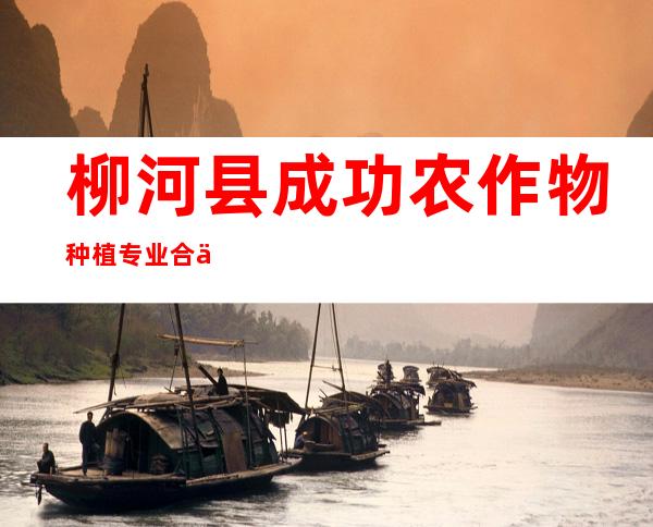 柳河县成功农作物种植专业合作社