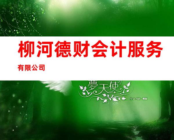 柳河德财会计服务有限公司