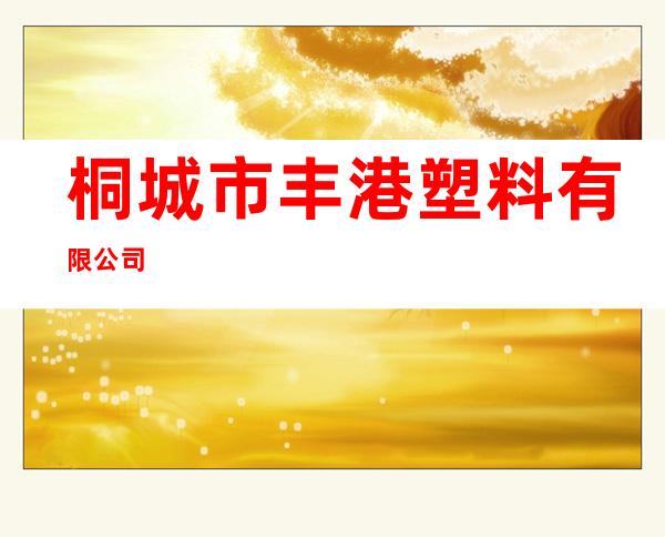 桐城市丰港塑料有限公司