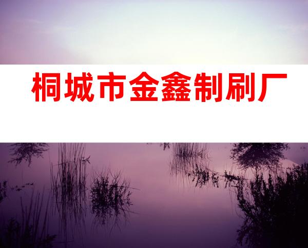 桐城市金鑫制刷厂