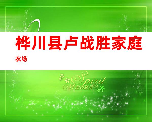 桦川县卢战胜家庭农场