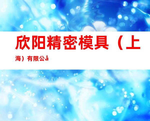 欣阳精密模具（上海）有限公司