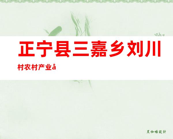 正宁县三嘉乡刘川村农村产业发展资金专业合作社