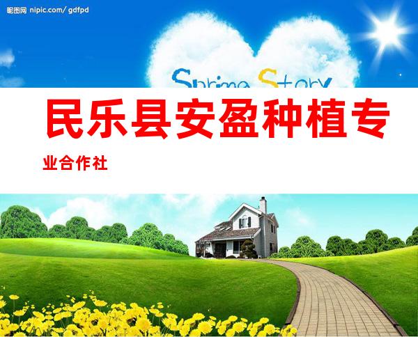 民乐县安盈种植专业合作社