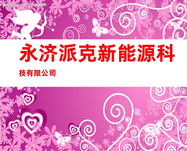 永济派克新能源科技有限公司