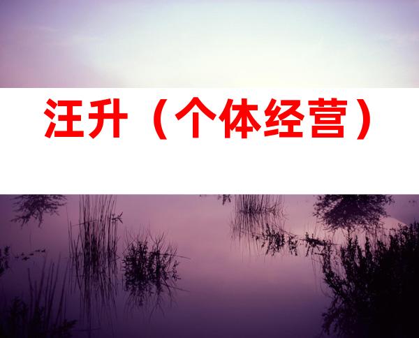 汪升（个体经营）