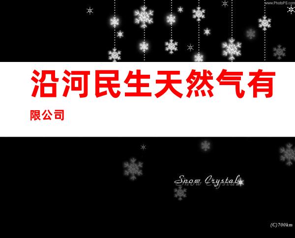 沿河民生天然气有限公司