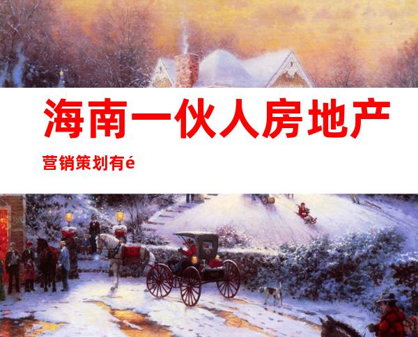 海南一伙人房地产营销策划有限公司