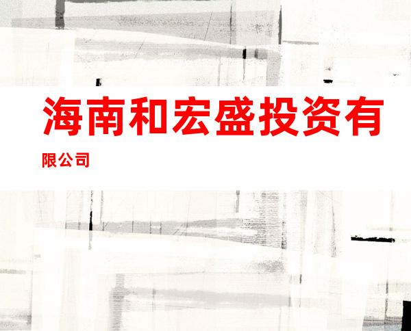 海南和宏盛投资有限公司