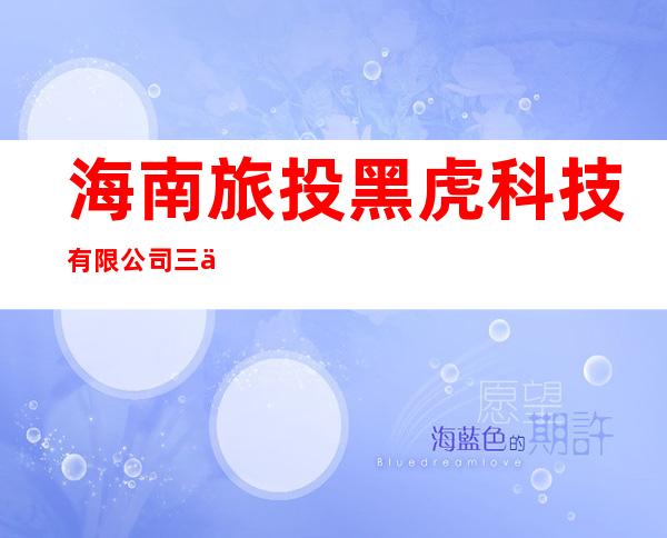 海南旅投黑虎科技有限公司三亚分公司