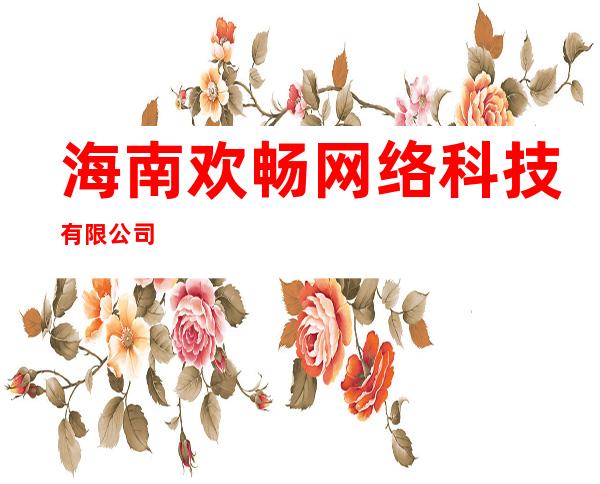 海南欢畅网络科技有限公司