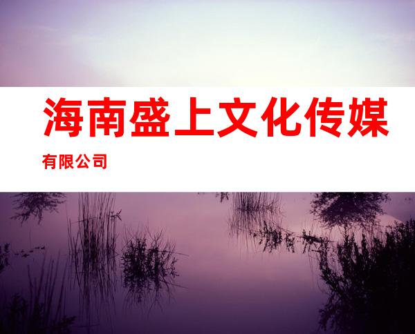 海南盛上文化传媒有限公司