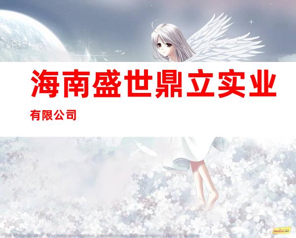 海南盛世鼎立实业有限公司