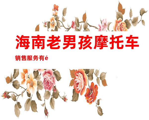 海南老男孩摩托车销售服务有限公司