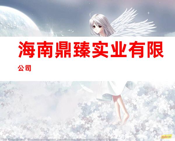 海南鼎臻实业有限公司
