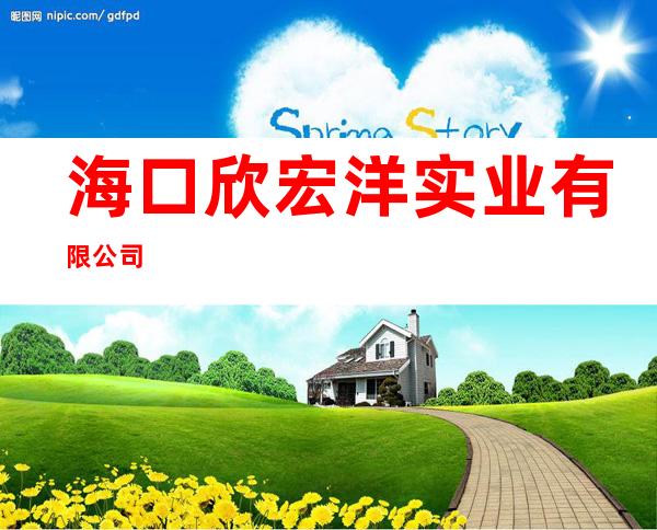 海口欣宏洋实业有限公司