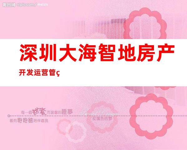 深圳大海智地房产开发运营管理有限公司三亚分公司