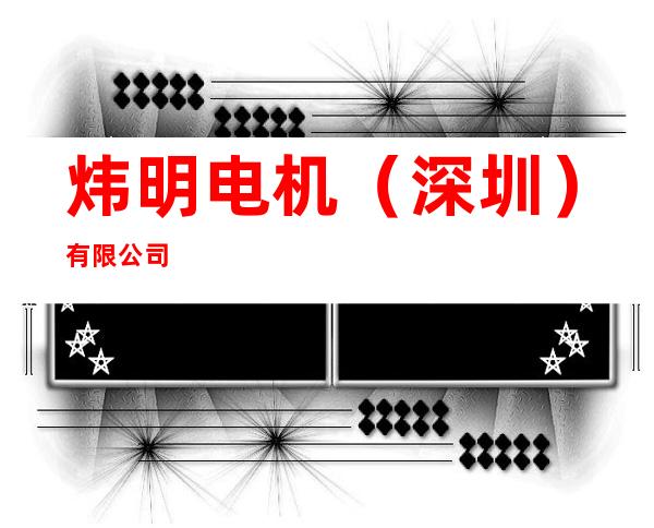 炜明电机(深圳)有限公司