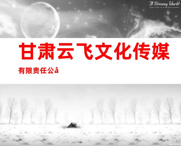 甘肃云飞文化传媒有限责任公司