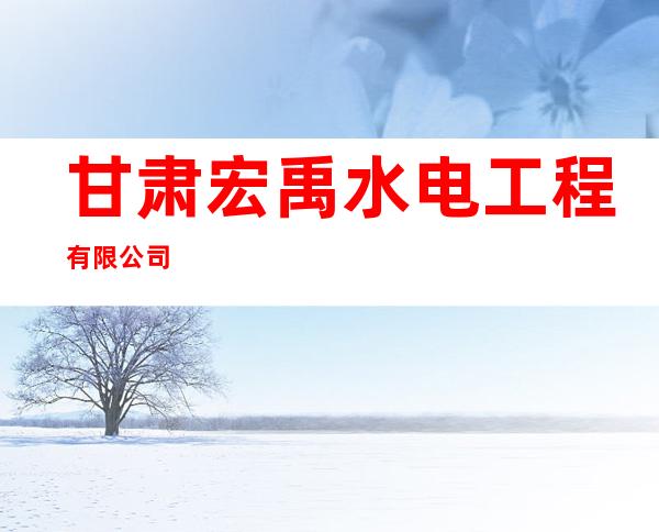 甘肃宏禹水电工程有限公司