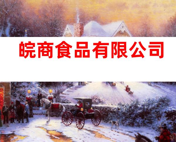皖商食品有限公司