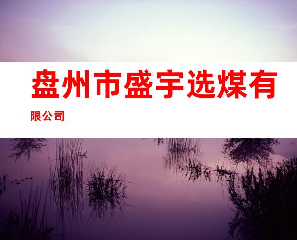 盘州市盛宇选煤有限公司