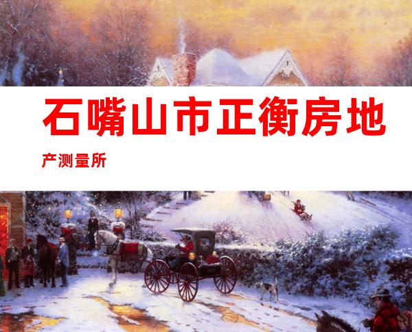 石嘴山市正衡房地产测量所