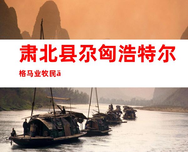 肃北县尕匈浩特尔格马业牧民专业合作社