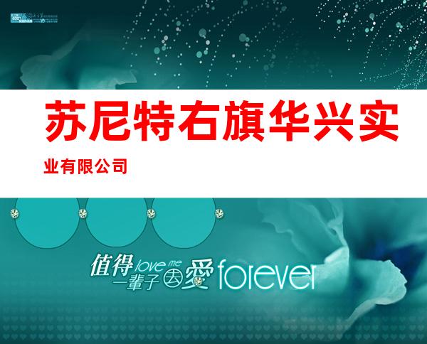 苏尼特右旗华兴实业有限公司