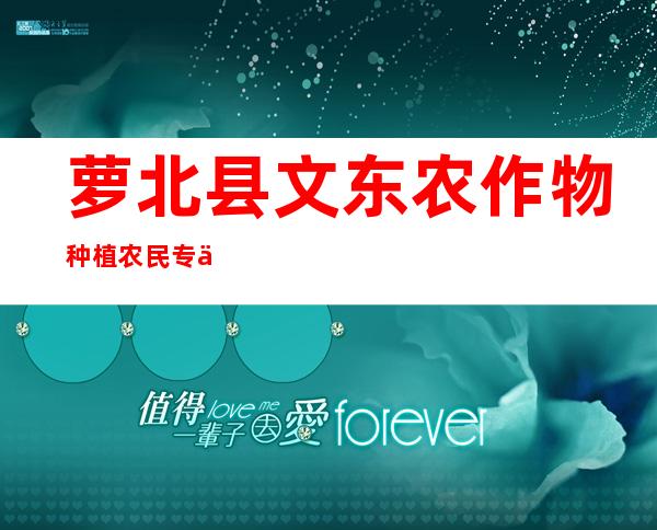 萝北县文东农作物种植农民专业合作社
