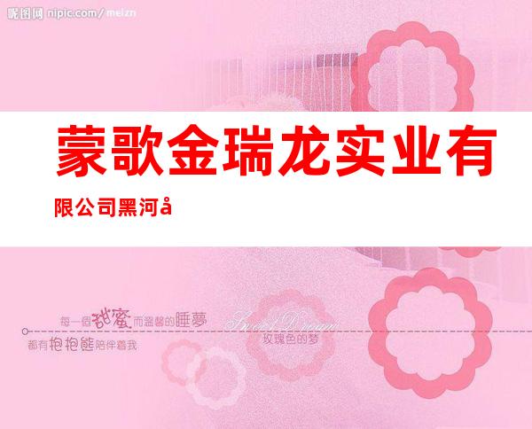 蒙歌金瑞龙实业有限公司黑河分公司