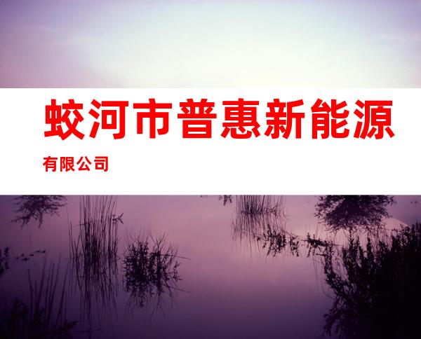 蛟河市普惠新能源有限公司