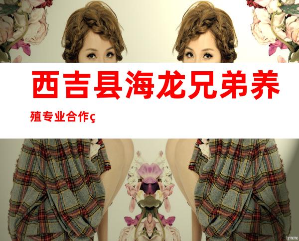 西吉县海龙兄弟养殖专业合作社