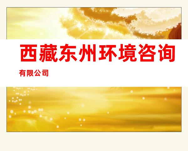 西藏东州环境咨询有限公司