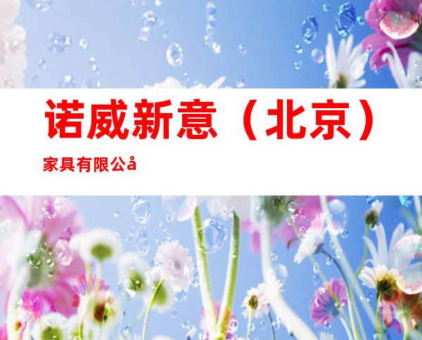诺威新意(北京)家具有限公司