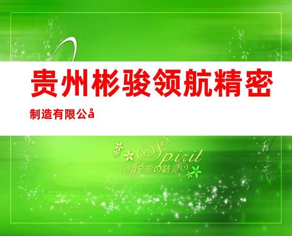贵州彬骏领航精密制造有限公司