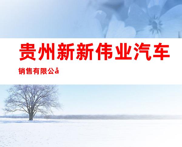 贵州新新伟业汽车销售有限公司