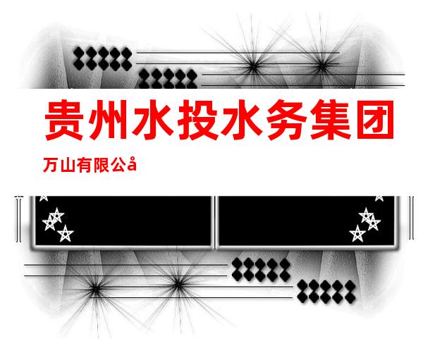 贵州水投水务集团万山有限公司