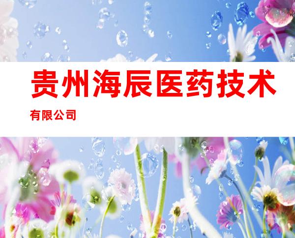贵州海辰医药技术有限公司