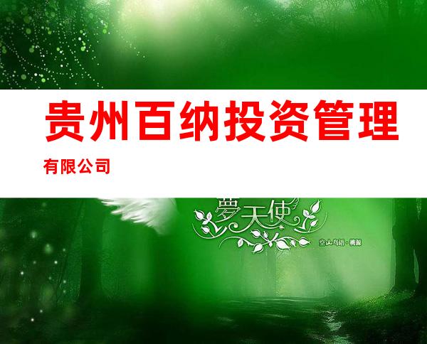 贵州百纳投资管理有限公司