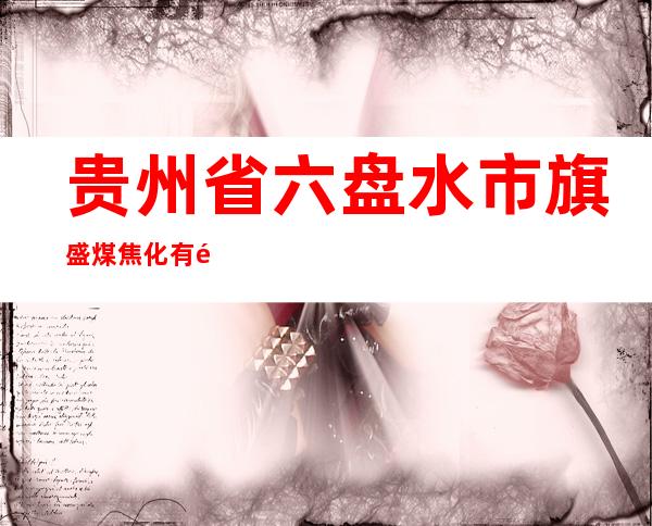 贵州省六盘水市旗盛煤焦化有限责任公司