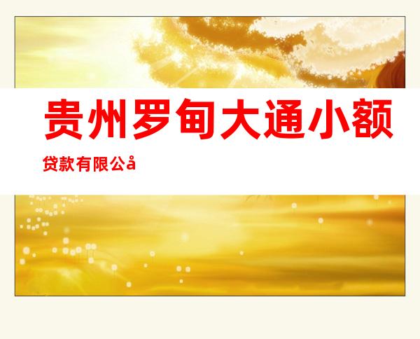 贵州罗甸大通小额贷款有限公司