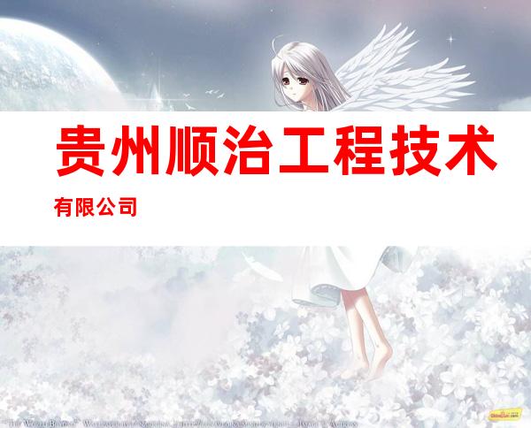 贵州顺治工程技术有限公司