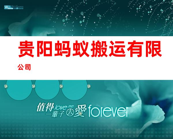 贵阳蚂蚁搬运有限公司
