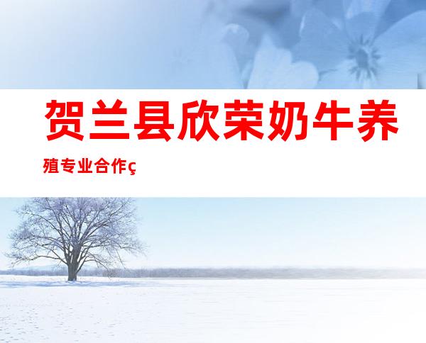 贺兰县欣荣奶牛养殖专业合作社